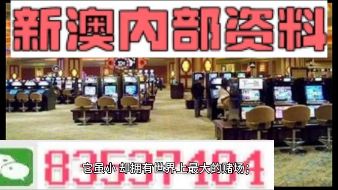 2024新澳资料免费精准051|全面解释解析落实