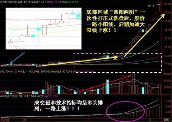 2023年澳门特马今晚开码|精选解释解析落实