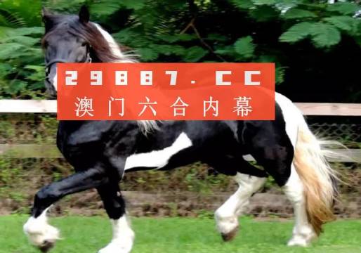 澳门香港一肖一码一中一特免费公开|词语释义解释落实