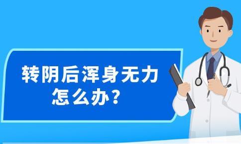 新澳精准资料免费提供网站|全面解释解析落实